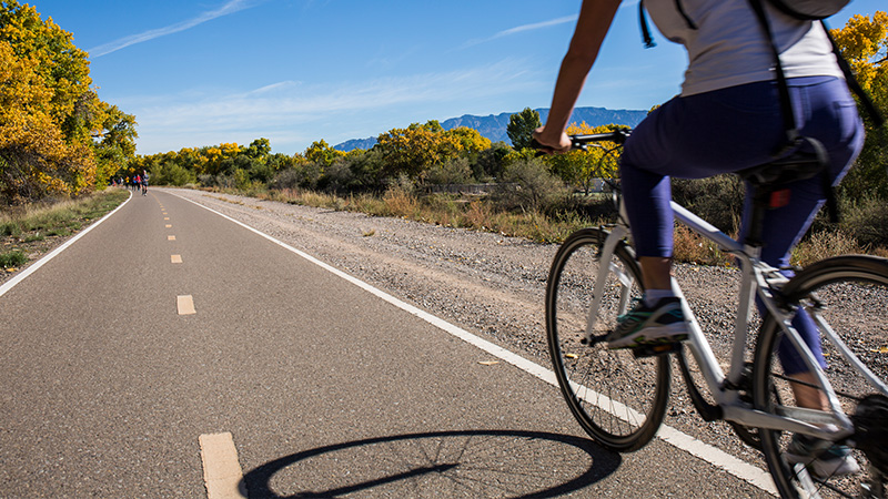 A bicyclers uses a paved path that runs through the bosque.