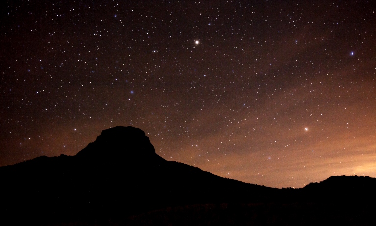 Cabezon with Stars