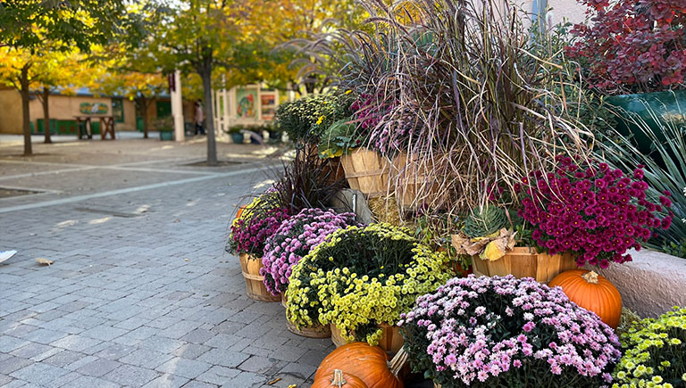 Fall in the BioPark Botanic Garden Section Block