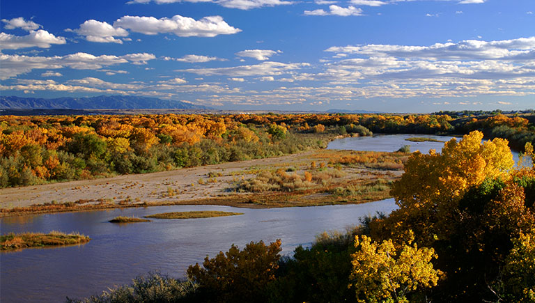 An aerial view of the Rio Grande and surrounding Bosque in fall with bright yellow and green leaves.