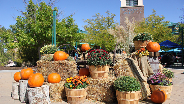 Wood baskets filled with pumpkins and red flowers on bales of straw.