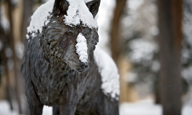 A lobo sculpture in the snow.