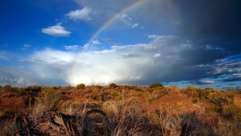 Rainbow Over Mesa