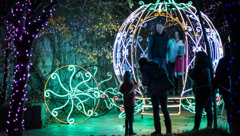 Light sculptures at the River of Lights event at the ABQ BioPark Botanic Garden.