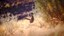Road Runner on Hill