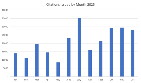 Graph showing citations issued each month.