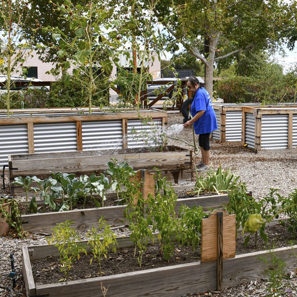 Community Garden Tile Gardener working on a garden bed.
