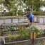 Community Garden Tile