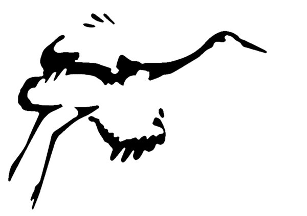 Sandhill Crane drawing