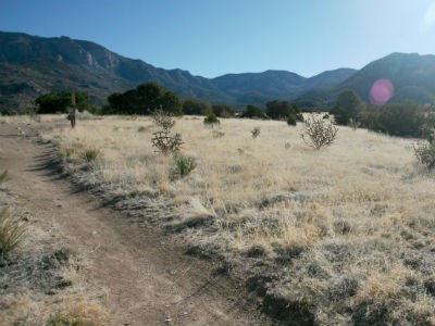 Image of ABQ open space in the Sandia foothills.