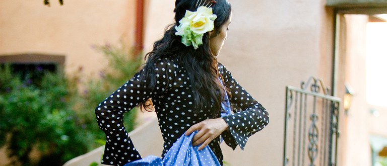 Flamenco Dancer