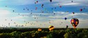 Hot Air Balloons Over the Bosque