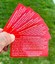 Know Your Rights Red Cards