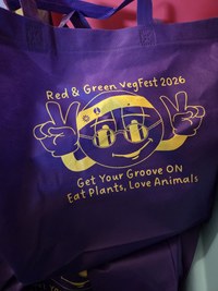 City Councilor Tammy Fiebelkorn and Community Partners Host 11th Annual Red & Green VegFest Albuquerque