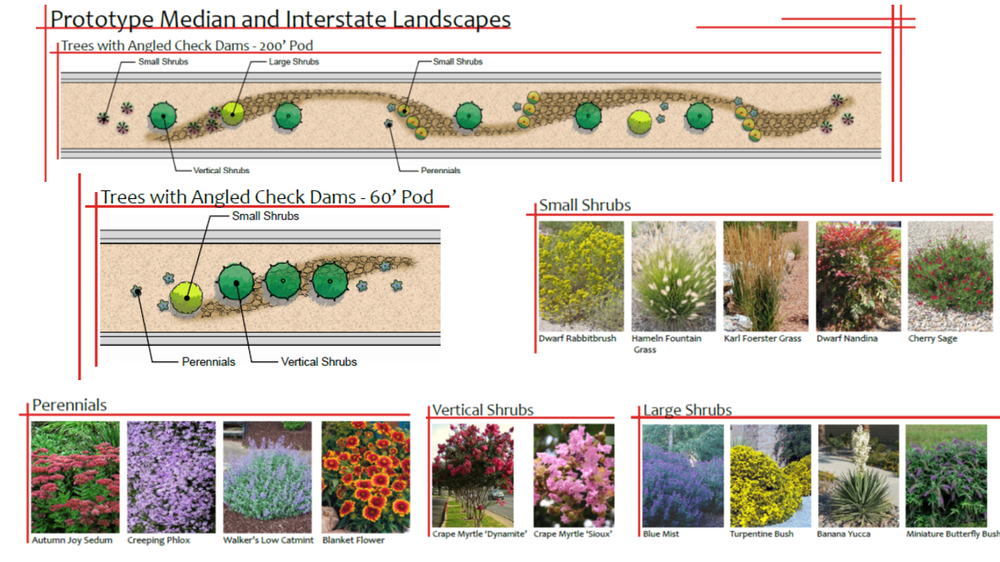 Schematic depicting improvements planned for Coors Bypass Median between Ellison Drive and 7 Bar Loop. Native perennial flowers, shrubs, trees with naturally occuring crusher fines