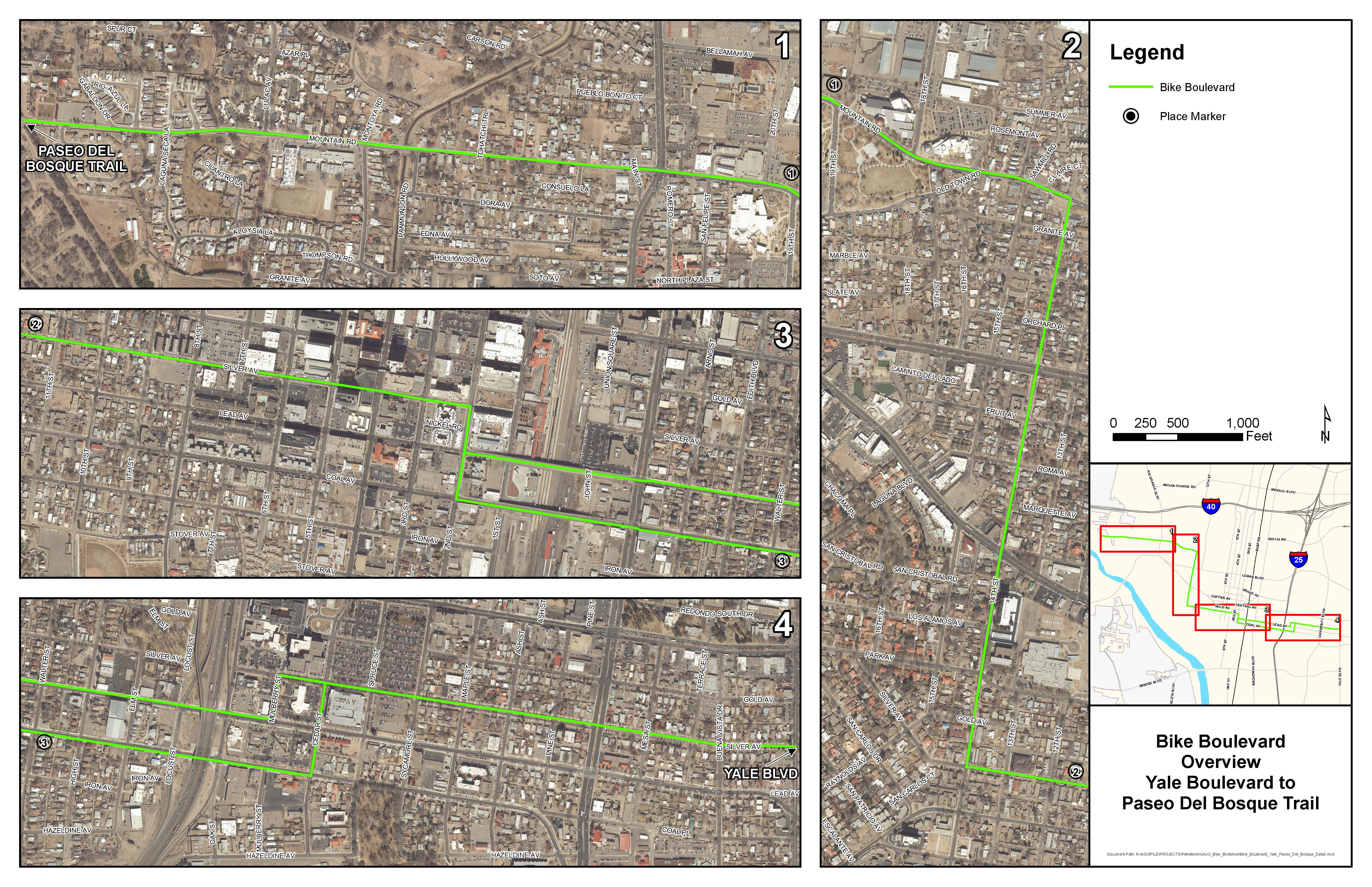 Bike_Boulevard_Yale_Paseo_Del_Bosque_Detail.jpg