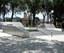 Coronado Skate Park