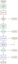 CPOAB Selection Process Flowchart April 17 2026