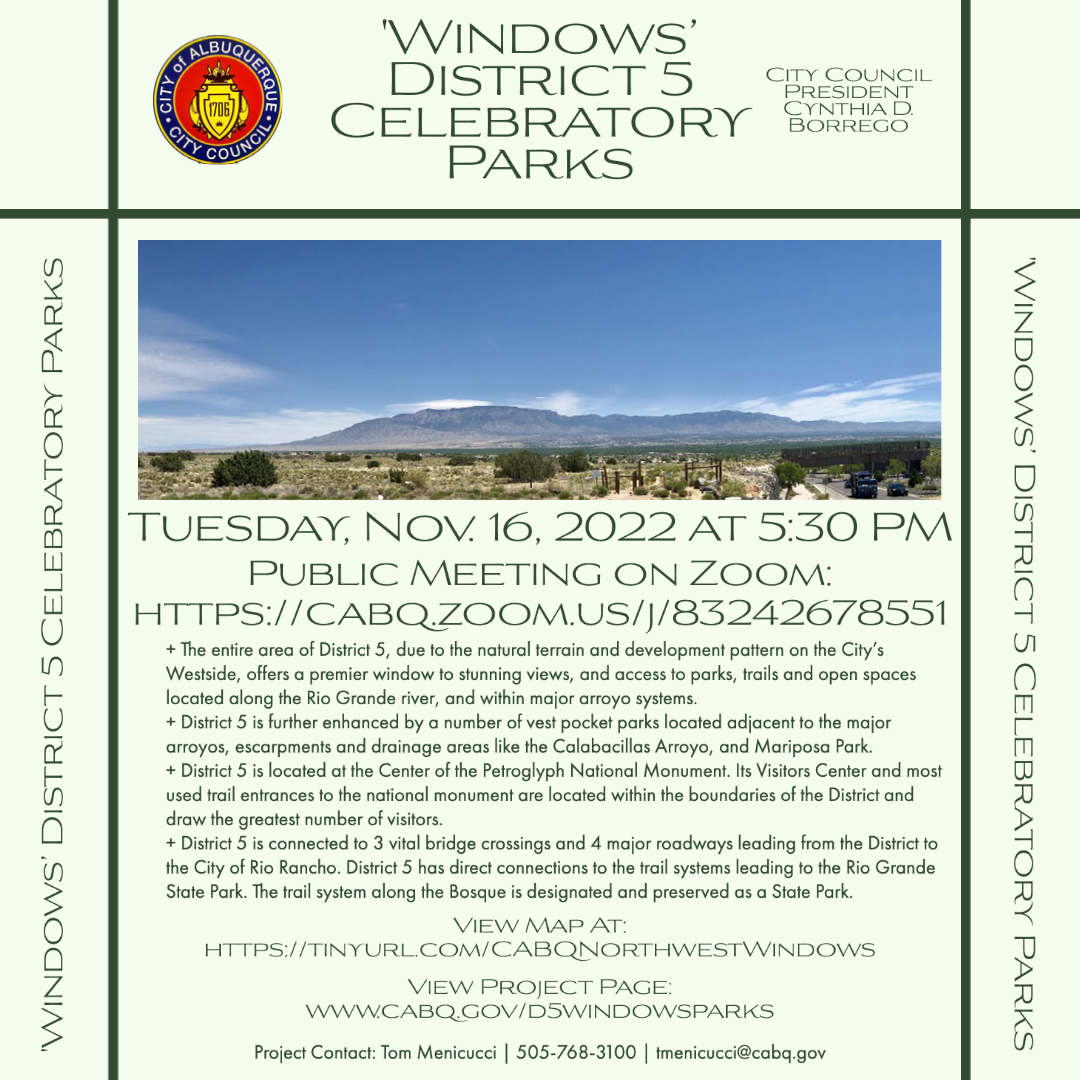 D5 Windows Parks Flyer