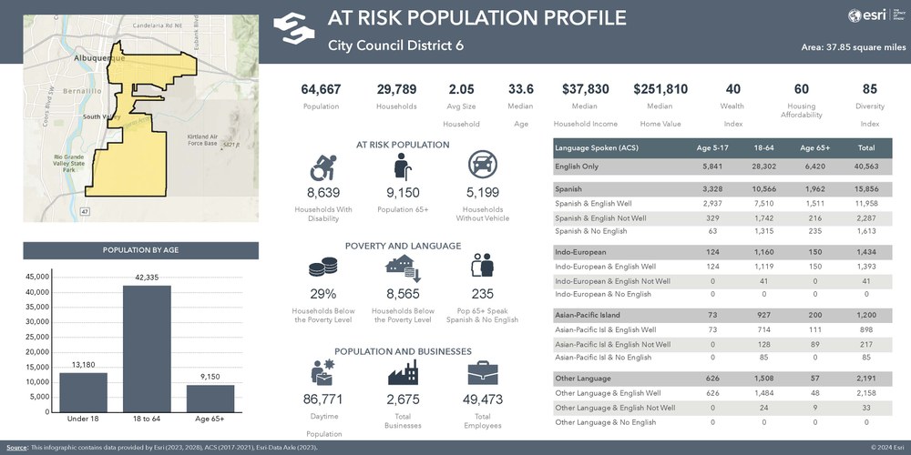 Graphic representation of Albuquerque's At-Risk Population