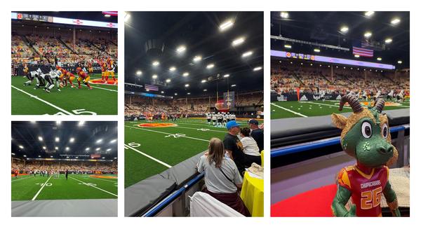 Photos of the NM Chupacabras Football team in action on the field at Tingley Coliseum