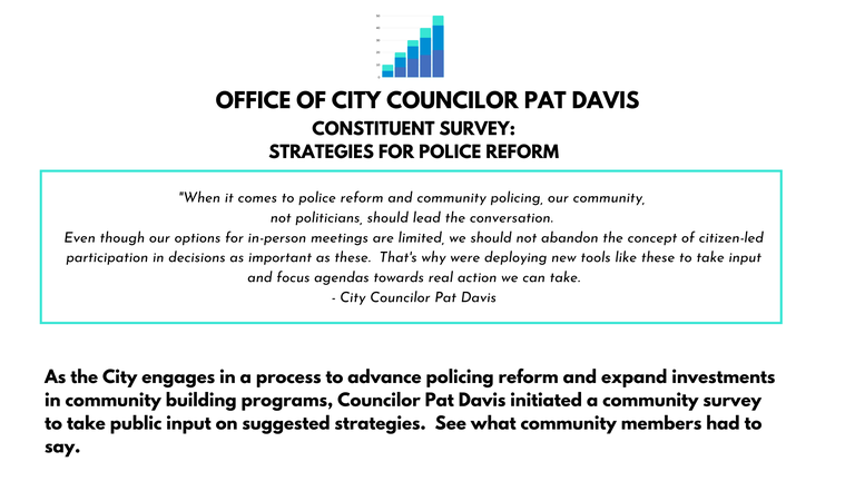 Davis Policing Survey 1