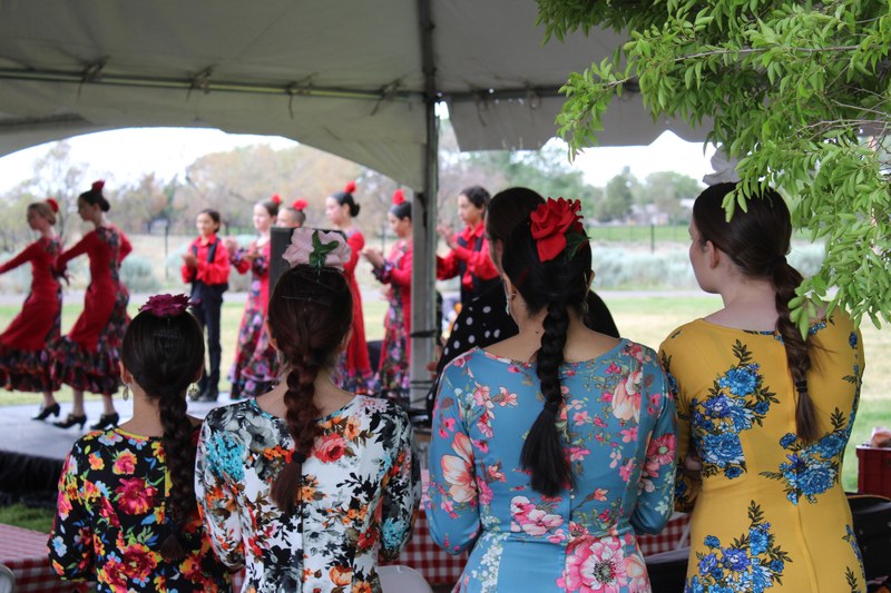 National Institute of Flamenco "Teeniors"