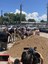 International District Grower's Market