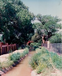 LDSPUacequia.JPG LDSPUacequia.JPG