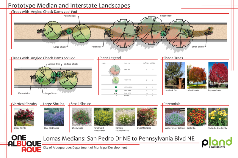 D7 Medians 2026 Update - Lomas from San Pedro to Pennsylvania