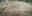 Los Altos Park Phase 2