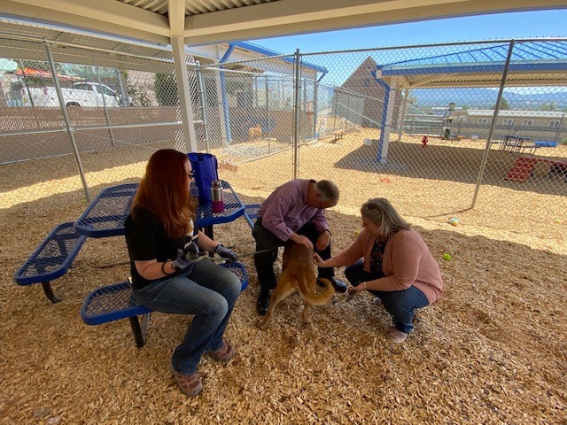 AWD-_Sen. Daniel Ivey Soto and Councilor Fiebelkorn at Westside Animal Shelter