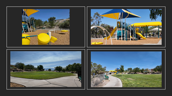 New park playground, turf, and benches make Richland Hills Park sparkle