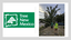 Tree NM Slide - 2024