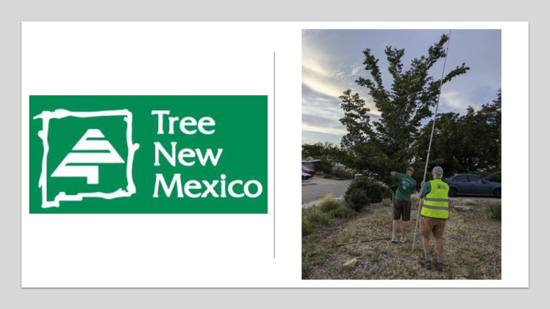 Tree NM Slide - 2024