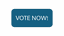 Participatory Budgeting Voting Button 2025