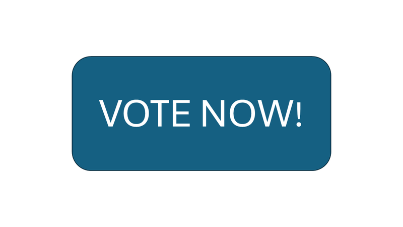 Participatory Budgeting Voting Button 2025