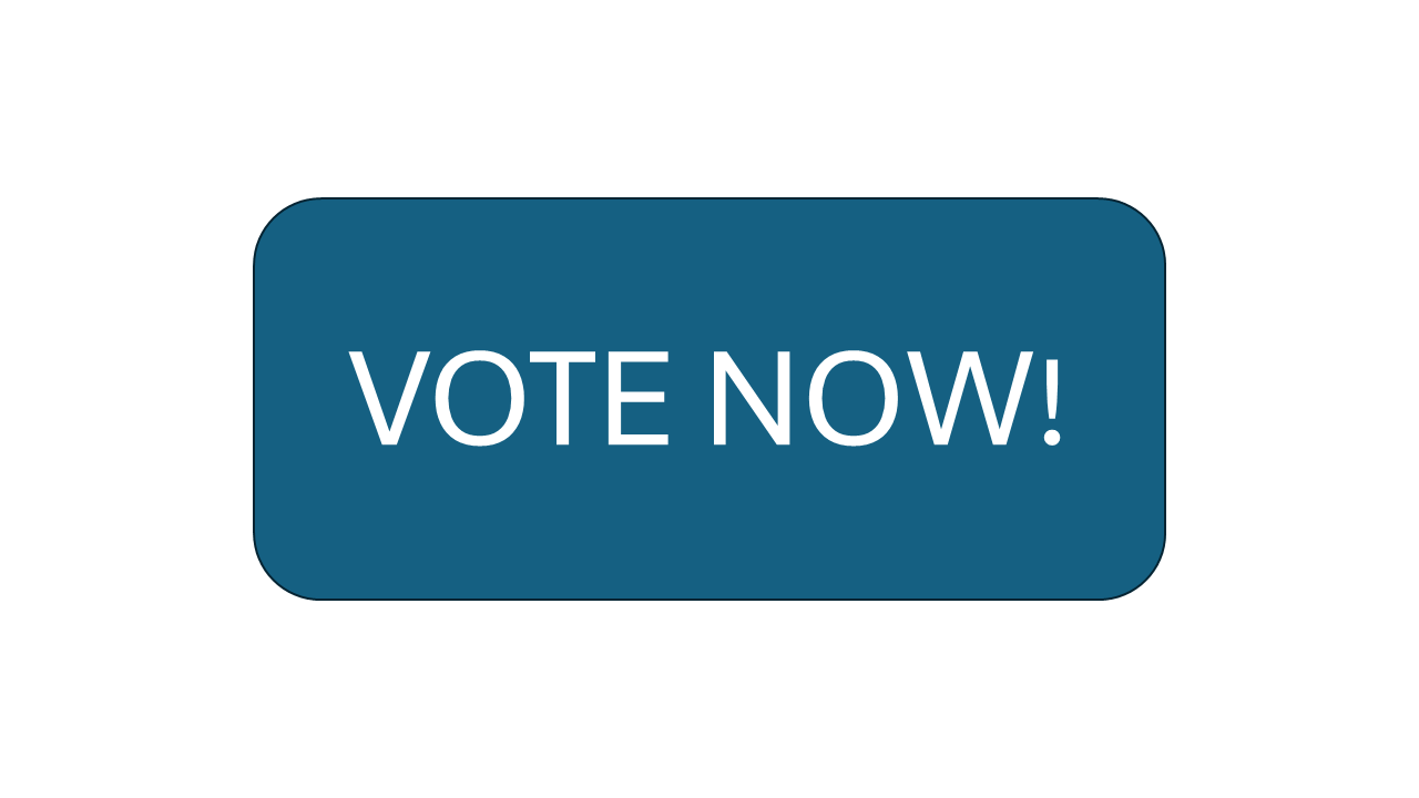 Participatory Budgeting Voting Button 2025