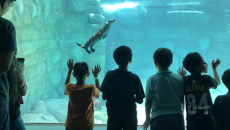 ABQ BioPark — City of Albuquerque