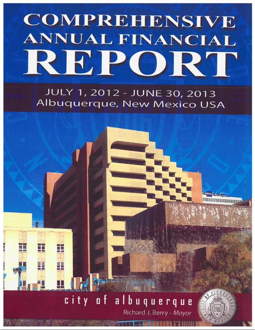 2013 Financial Report Image