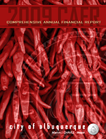Comprehensive Annual Financial Report 2009