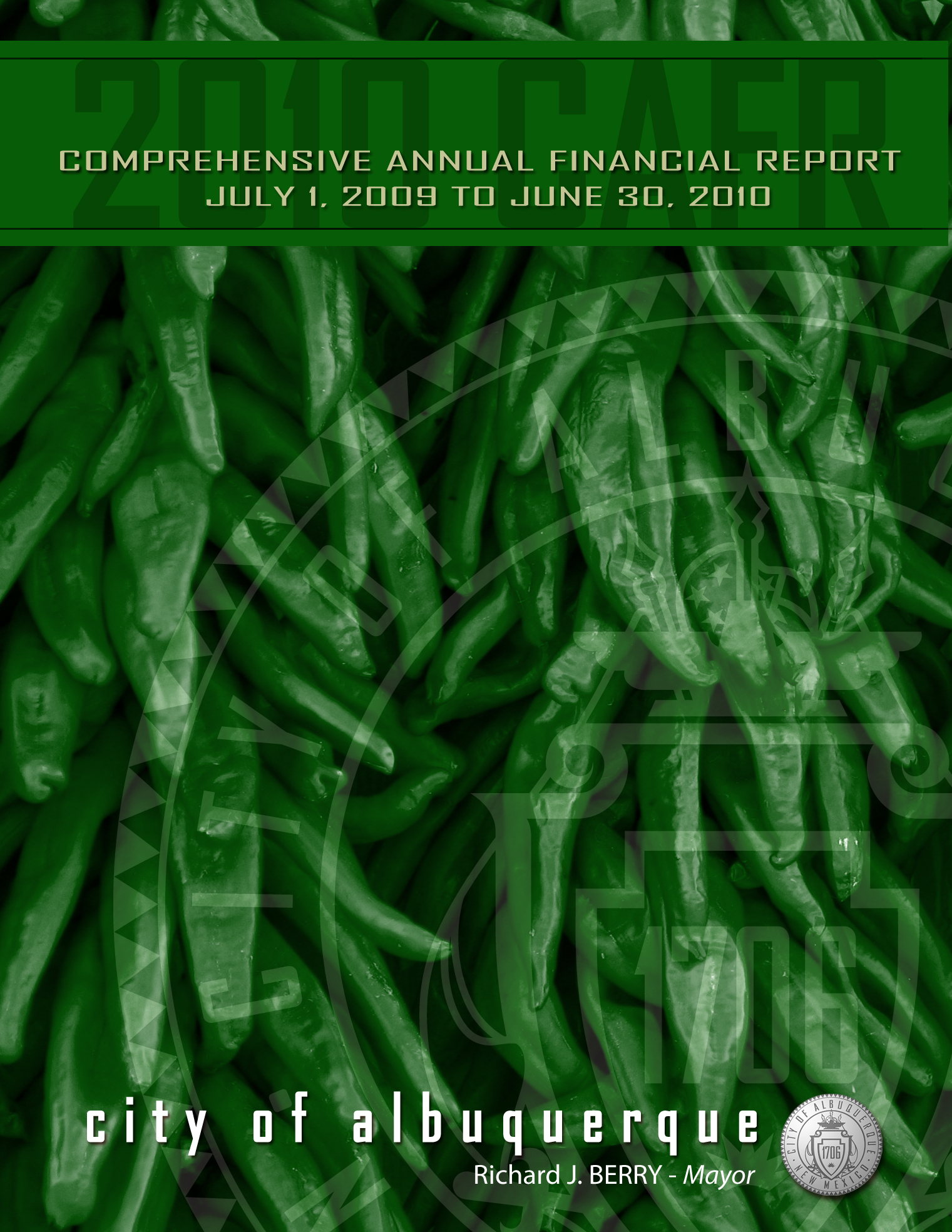 Comprehensive Annual Financial Report 2010