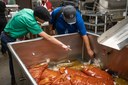 Food inspection Food inspection