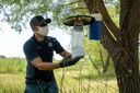 Mosquito trapping Tile Mosquito trapping Tile