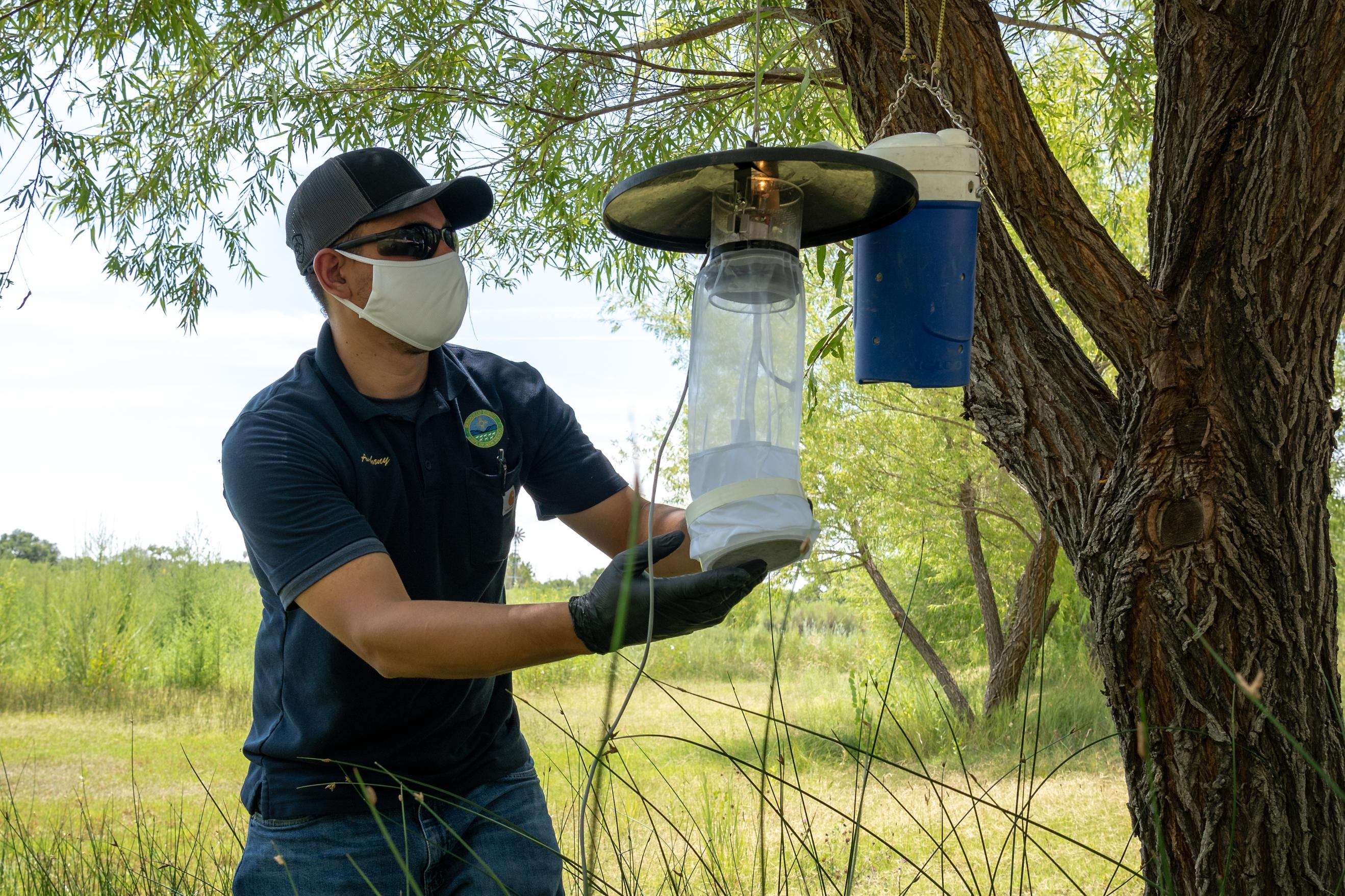 Mosquito trapping Tile