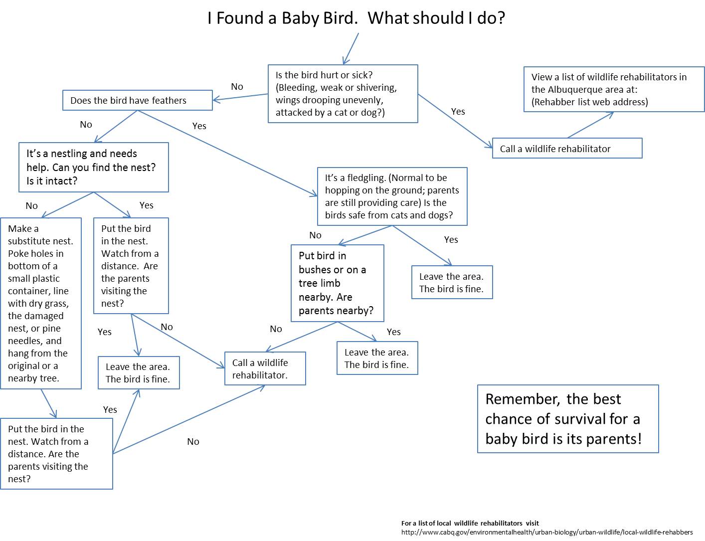 Found Bird Chart