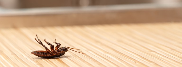 UBD - Integrated Pest Management Tile