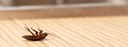 UBD - Integrated Pest Management Tile