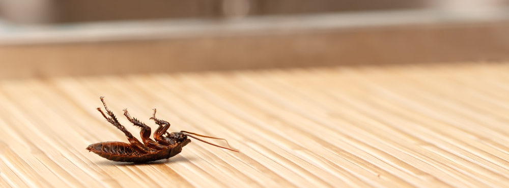 UBD - Integrated Pest Management Tile