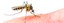 UBD - Mosquitoes Tile